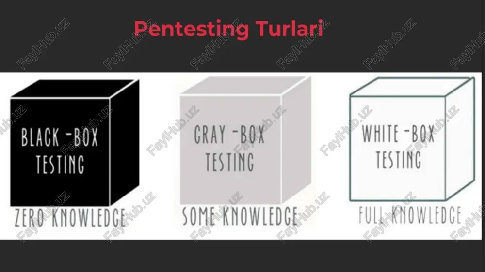 pentesting usul va vositalarining tahlili - Page 4