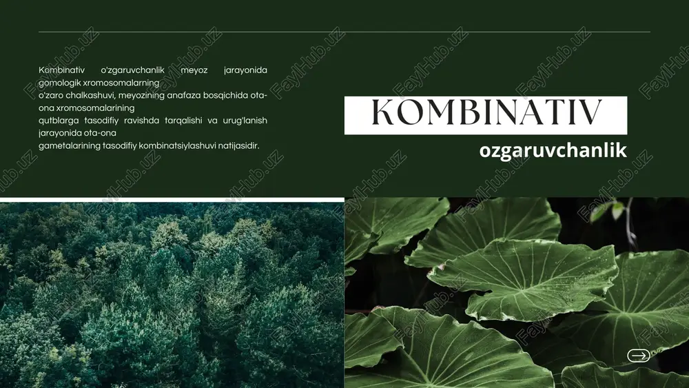 loqador. ayrim holatlarda meyoz jarayonida xromosomalar ikki qiz hujayraga teng taqsimlanmasligi mumkin. agar zigotada bitta xromosoma ortiqcha bo'lsa trisomik, bitta xromosoma kam bo'lsa monosomik, bir juft ortiqcha bo'lsa tetrasomik, bir juft kam bolsa nullisomik deb ataladi. gen mutatsiyalari ontogenetik o'zgaruvchanlik - bu ontogenez jarayonida genlarning differensial faolligi natijasida yuzaga chiqadigan, muhit ta'siriga bog'lig bo'lmagan o'zgaruvchanlikdir. modifikatsion o'zgaruvchanlik esa tashqi muhit omillari ta'sirida fenotipda namoyon bo'ladigan o'zgaruvchanlikdir. fenotipik ozgaruvchanlik modifikatsiyon ozgaruvchanlik har bir orga-nizm tashqi muhitning ma'lum sharoitlariga mos ravishda yashay-di va rivojlanadi. himolay quyonining yelkasidagi oq junlarni yulib tashlab, o'sha joyga sovuq ta'sir etilsa, qora jun o'sib chiqadi bordi-yu, shu qora junlarni olib tashlab issig belbog bog'lansa, yana oq jun o'sib chiqadi. himolay quyonlarini 30 °c da boqilsa, uning hamma juni oq rangda bo'ladi. borcelle nature presentation hayvonlarda nilufar-ning suv ostidagi bargi ingichka lansetsimon, suv ustidagi barglari voronkasimon, suv yong'og'ida esa suv osti barglari patsimon qir- qilgan, suv usti barglari …