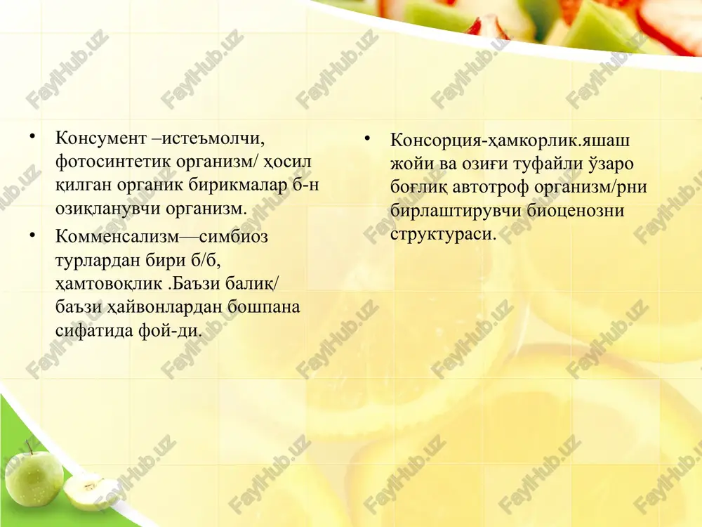 ekologik tizimlar - Page 4