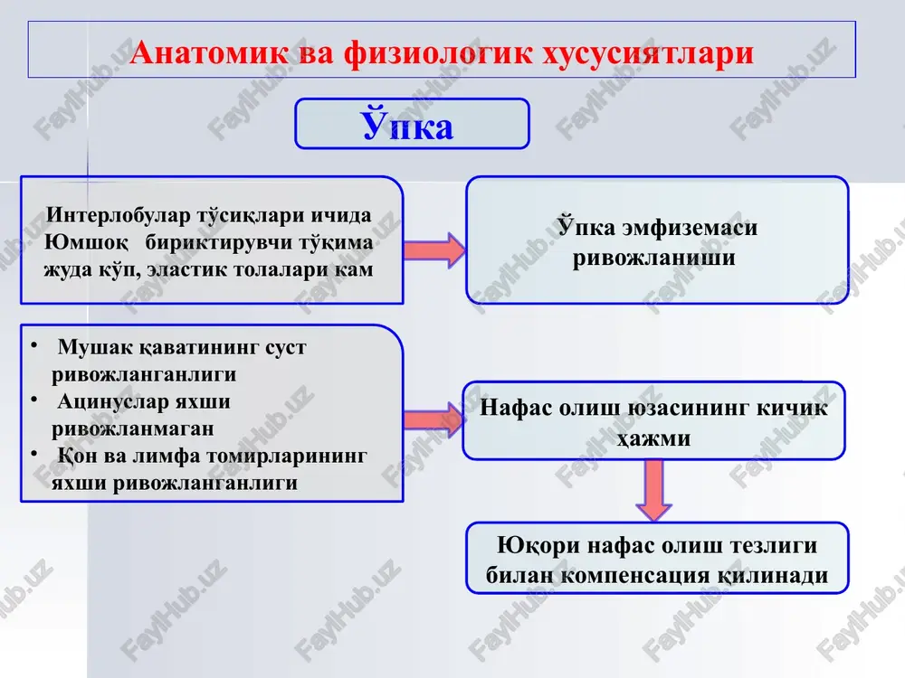 ug'ma pnevmoniya: streptococcus gr.b e.coli klebsiella pn. staph. aureus listeria monocyt. chlamidia tr. , etc. staph. aureus kasalxonadan tashqari pnevmoniya 1 - 12 oygacha e.coli virusi (rs, paragripp) streptoc. pneumon. staph. aureus et epiderm. chlamidia tr. , pn. mycoplasma pn. bolalarda pnevmoniya etiologiyasi kasalxonadan tashqari pnevmoniya 1 yoshdan 6 yoshgacha streptoc. pneumon. virusi (rs, paragripp, gripp, adenovirus) hemophilus infl. chlamidia tr. , pn. mycoplasma pn. adenovirus bolalarda pnevmoniya etiologiyasi kasalxonadan tashqari pnevmoniya 7 dan 18 yoshgacha streptoc. pneumoniae hemophilus influenza mycoplasma pneumoniae chlamydia pneumoniae bolalarda pnevmoniya etiologiyasi kasalxona ichi pnevmoniyasi pseudomonas aeruginosa proteus spp e.coli klebsiella pneumoniae staph. aureus enterobacter candida, aspergillus bolalarda pnevmoniya etiologiyasi birlamchi hujayrali immunitet tanqisligi fonida pnevmoniya: pneumocyst candida birlamchi gumoral immunitet tanqisligi fonida pnevmoniya: str.pneum. staph. aureus enterobacter. bolalarda pnevmoniya etiologiyasi oits fonida pnevmoniya: pneumocyst cmv-infektsiya mycobacteria candida bolalarda pnevmoniya etiologiyasi bir qator mikroorganizmlar uchun bronx-o'pka yallig'lanishni rivojlanishida ishtirok etish xarakterli emas: streptococcus viridans staphylococcus …