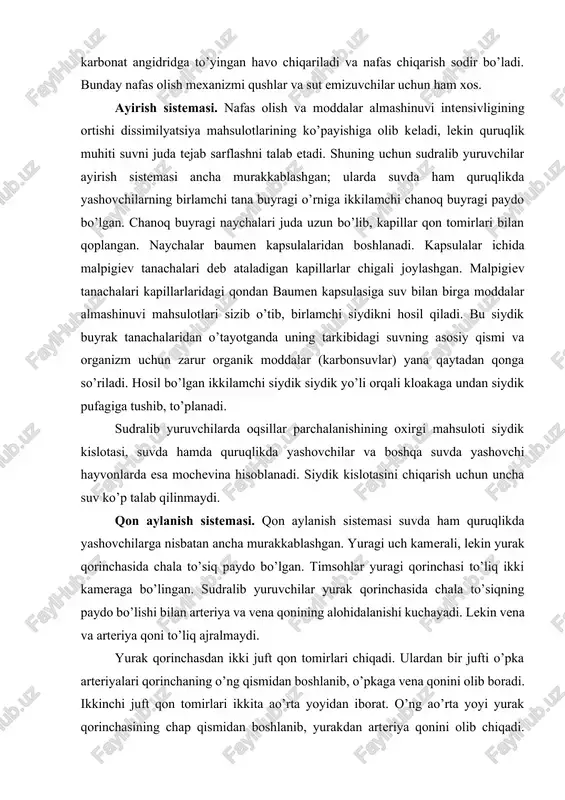 mda quruqlikda yashovchilar va boshqa suvda yashovchi hayvonlarda esa mochevina hisoblanadi. siydik kislotasini chiqarish uchun uncha suv ko’p talab qilinmaydi. qon aylanish sistemasi. qon aylanish sistemasi suvda ham quruqlikda yashovchilarga nisbatan ancha murakkablashgan. yuragi uch kamerali, lekin yurak qorinchasida chala to’siq paydo bo’lgan. timsohlar yuragi qorinchasi to’liq ikki kameraga bo’lingan. sudralib yuruvchilar yurak qorinchasida chala to’siqning paydo bo’lishi bilan arteriya va vena qonining alohidalanishi kuchayadi. lekin vena va arteriya qoni to’liq ajralmaydi. yurak qorinchasdan ikki juft qon tomirlari chiqadi. ulardan bir jufti o’pka arteriyalari qorinchaning o’ng qismidan boshlanib, o’pkaga vena qonini olib boradi. ikkinchi juft qon tomirlari ikkita ao’rta yoyidan iborat. o’ng ao’rta yoyi yurak qorinchasining chap qismidan boshlanib, yurakdan arteriya qonini olib chiqadi. aortaning chap yoyi qorinchaning o’ng qismi (qorincha chap qismiga yaqini)dan boshlanib, aralash qonga ega bo’ladi. o’ng ao’rta yoyidan uyqu arteriyalari chiqib, miyani arteriya qoni bilan ta'minlaydi. ikkala ao’rta yoyi yurakdan chiqqach, qo’shilib bitta orqa ao’rtaga birlashadi. …