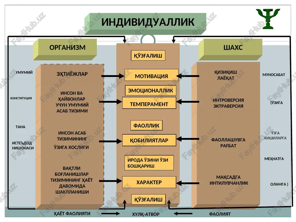 a narsa va xodisalarga, insonning xatti-harakatlariga nisbatan reaktsiyasini tushuntirib beruvchi xususiyatlar majmui hisoblanadi. * temperament va uning turlari. temperament - shaxs faoliyati va xulqining dinamik (o'zgaruvchan) va emotsional - hissiy tomonlarini xarakterlovchi individual xususiyatlar majmuidir temperament xolerik flegmatik sangvinik melanxolik temperament xususiyatlarini belgilab beruvchi uch oliy nerv tizimi xossalari: kuch, muvozanatlashganlik, harakatchanlik. k u ch - nerv tizimining kuchli ko'zgatuvchilar ta'siriga bardoshi, shunga ko'ra insonda mehnatga yaroklilik, chidam kabi sifatlarning namoyon bo'lishi muvozanatlashgan lik - asabdagi tormozlanish va ko'zgalish jarayonlarining o'zaro mutanosibligi, shunga ko'ra, o'zini tuta olish, bosiqlik kabi sifatlar va ularga teskari sifatlarning namoyon bo'lishi harakatchanlik - ko'zgalish va tormozlanish jarayonlaridagi o'zaro almashinish jarayonining tezligi va harakatchanligi * i.p. pavlov ta'limoti bo'yicha asab tizimi tiplarining va gippokrat ta'limoti bo'yicha temperamentning o'zaro munosabatlari temperament tiplari nerv sistemasining kuchi nerv tizimining muvozanati nerv tizimining ildamligi xolerik kuchli jo'shqin muvozanatsiz qizg'in serharakat sangvinik kuchli serharakat muvozanatli serharakat flegmatik kuchli vazmin muvozanatli inert …