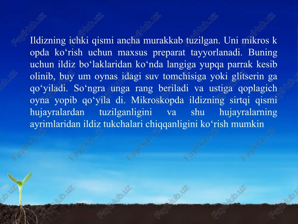 ildiz tizimlari - Page 4