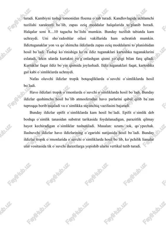 v. a. axadova. m. a. “o`rta osiyo o`simliklari marfalogiyasi” sop, tipo, t.: 1991. 7. holdarov. x. xojimatov. k. x.“o`zbekiston o`simliklari”, “o`qituvchi” t.: 1992. 8. www.ziyonet.uz