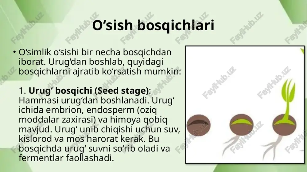 mening o’simligim qanday o’sdi - Page 4