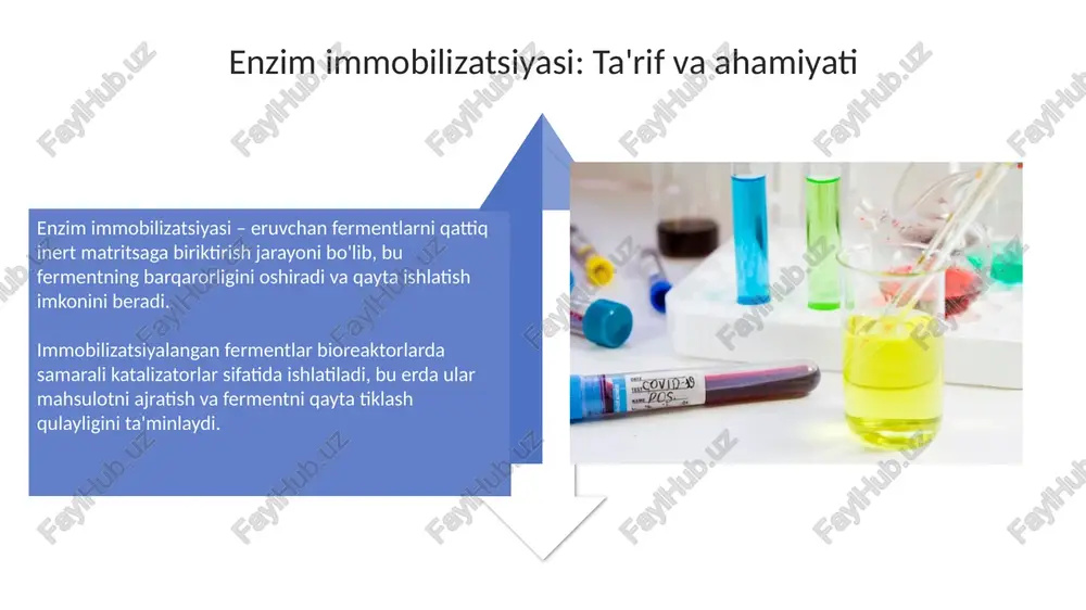 klaratsiyasi singari xalqaro kelishuvlar orqali rivojlandi. bu kelishuvlar global ekologik muammolarga e'tiborni kuchaytirdi. oziq-ovqat sanoati oziq-ovqat sanoatida fermentlar kraxmalni qayta ishlashda keng qo'llaniladi, masalan, amilazalar yuqori fruktozali makkajo'xori siropini ishlab chiqarish uchun kraxmalni gidrolizlaydi. pishloq ishlab chiqarishda rennin fermenti sut oqsillarini koagulyatsiya qilish orqali pishloq massasini hosil qilish uchun ishlatiladi, bu esa o'z navbatida, pishloqning tuzilishini shakllantiradi. klinik diagnostika klinik diagnostikada fermentlar kontsentratsiyasini aniqlash muhim, masalan, aminotransferazalar jigar kasalliklarini baholashda 5-50 u/l normal qiymatlarda ishlatiladi. immobilizatsiyalangan fermentlar klinik diagnostikada bio-sensorlar yaratishda qo'llaniladi; masalan, glyukoza oksidazasini ishlatib qonda 70-100 mg/dl glyukoza miqdorini aniqlash mumkin. xulosa va istiqbollar ferment analitik reagentlari kelajagi biosensorlarda keng qo'llanilishi, yuqori sezuvchanlik va tezkor tahlilni ta'minlaydi, sog'liqni saqlashda diagnostik imkoniyatlarni oshiradi. immobilizatsiyalangan fermentlar biotexnologiya va farmatsevtika sohalarida istiqbolli, chunki ular barqarorlikni oshiradi va sanoat jarayonlarida katalitik faollikni 2-3 barobar oshiradi. e'tiboringiz uchun rahmat image3.jpg image4.jpg image5.jpg image6.jpg image7.jpg image8.jpg image9.jpg image10.jpg image11.jpg image12.jpg image13.jpg image14.jpg image15.jpg image16.jpg …