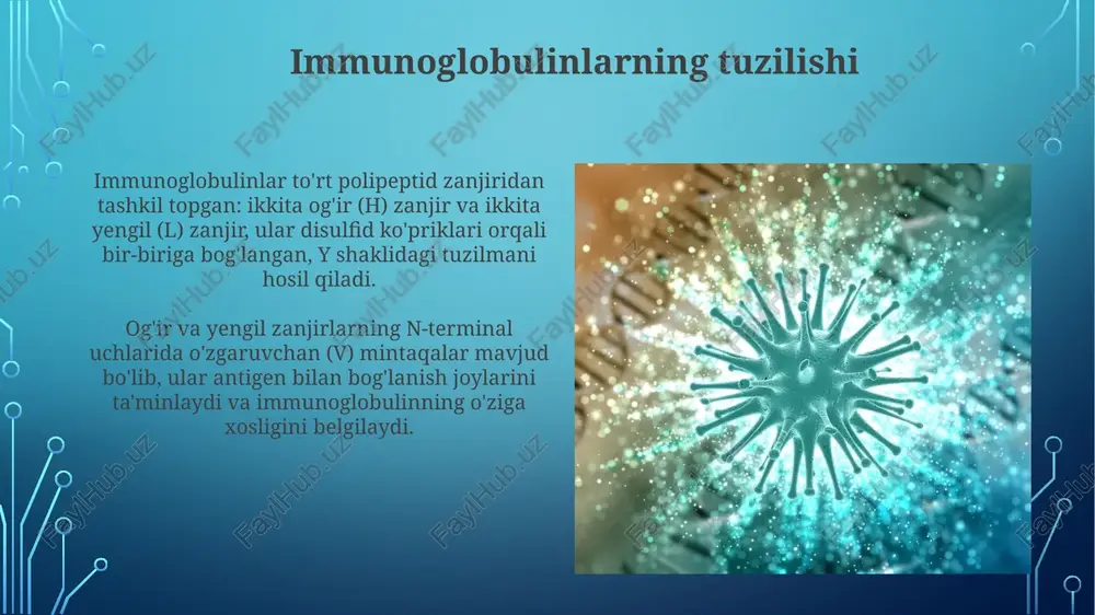 adi. farmatsevtik ligandlar va antitelalar farmatsevtik ligandlar antitelalar bilan bog‘lanib, ularning antigen bilan o‘zaro ta’sirini modullashi mumkin, masalan, igg ning fc qismi bilan bog‘lanuvchi dorilar. bu ta’sir 10-6 dan 10-9 m konsentratsiyalarda samarali bo’lishi mumkin. ba’zi farmatsevtik ligandlar antitelalarning konformatsion o‘zgarishlarini keltirib chiqarib, ularning afinitetini oshiradi yoki kamaytiradi. misol uchun, molekulyar og'irligi 500 da bo'lgan molekulalar allosterik effektlar yaratishi mumkin. klinik ahamiyatga ega misollar monoklonal antitelalar saratonga qarshi davolashda qo'llaniladi, masalan, rituximab cd20 ni nishonga oladi va b-hujayralar limfomasini davolashda ishlatiladi, kasallikning remissiyasiga olib keladi. immunglobulin e (ige) allergik reaktsiyalarda muhim rol o'ynaydi, mast hujayralar bilan bog'lanadi va allergenlar ta'sirida gistamin chiqarilishiga olib keladi, shuning uchun 1-toifa o'ta sezuvchanlik paydo bo'ladi. xulosa xulosa, immunoglobulinlar molekulalarining kasalliklarga qarshi kurashishdagi markaziy rolini ta'kidlaydi, ayniqsa o'ziga xos antigenlarni bog'lash va neytrallashtirish orqali, bu immunitetning muhim jihatidir. ligandlar antitelolarning faoliyatiga murakkab ta'sir ko'rsatadi, masalan, allosterik modulyatsiya orqali protein konformatsiyasini o'zgartirib, bog'lanish affinitetini 100-1000 barobar …