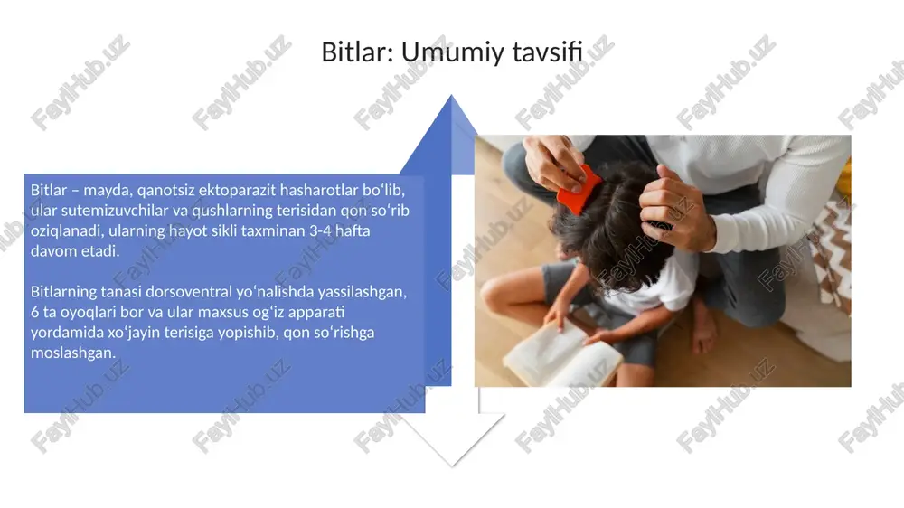 bitlar va so'ruvchi hasharotlarga qarshi kurash - Page 4