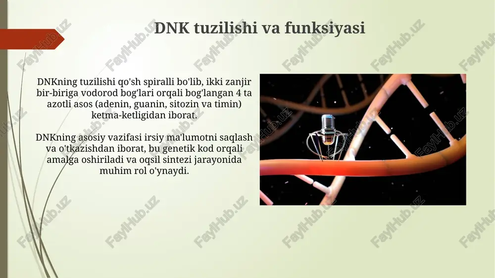 mumkin. farmakologik ingibitorlar farmakologik ingibitorlar, masalan, tetratsiklinlar, bakteriyalarda 30s ribosoma subunitiga bog'lanib, trnaning a saytiga birikishini bloklaydi va protein sintezini to'xtatadi. streptomitsin, yana bir farmakologik ingibitor, mrna bilan ribosomaning o'zaro ta'sirini buzadi, natijada noto'g'ri genetik kod o'qiladi va defektli oqsillar sintezlanadi. xulosa ksuloza besh uglerodli monosaxariddir, aniqrog'i aldoz, uning tarkibida bitta aldehid guruhi mavjud bo'lib, uni fruktoza kabi ketoza emas, balki aldoz qiladi. l-ksuloza l-izomeri odamlar uchun metabolizmga uchramasligi isbotlangan, lekin ba'zi bakteriyalar uni l-liksuloza redüktaza fermenti orqali ishlatish usuliga ega. e'tiboringiz uchun rahmat image1.jpg image2.jpg image3.jpg image4.jpg image5.jpg image6.jpg image7.jpg image8.jpg image9.jpg image10.jpg image11.jpg image12.jpg image13.jpg image14.jpg image15.jpg image16.jpg image17.jpg