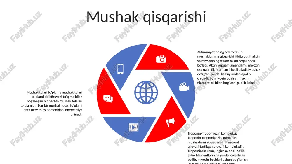hqlari. mushak atrofiyasi: mushak atrofiyasi mushak massasi va kuchini yo'qotishni anglatadi. bu turli omillar, jumladan, foydalanmaslik, qarish, to'yib ovqatlanmaslik yoki muayyan tibbiy sharoitlar tufayli yuzaga kelishi mumkin. mushaklar yo'qolishining oldini olish yoki kamaytirish uchun erta aniqlash va aralashuv juda muhimdir. mushaklarning chidamliligi: mushaklarning chidamliligi - bu mushak yoki mushaklar guruhining charchamasdan uzoq vaqt davomida takroriy qisqarishni bajarish qobiliyati. muntazam jismoniy mashqlar, to'g'ri ovqatlanish va dam olish mushaklarning chidamliligini oshirish va sport samaradorligini oshirish uchun zarurdir. mushaklar muvozanati muskul muvozanati:- qarama-qarshi mushak guruhlari o'rtasidagi muvozanatni bildiradi, to'g'ri qo'shma harakat va barqarorlikni ta'minlaydi.- mushaklarning kuchsizligi, tarangligi yoki haddan tashqari yuklanishi kabi omillar tufayli nomutanosiblik paydo bo'lishi mumkin, bu og'riqqa olib keladi, ish faoliyatini kamaytiradi va shikastlanish xavfini oshiradi. mushaklarning chidamliligi:- mushaklarning uzoq vaqt davomida kuchni saqlab turish qobiliyatini ifodalaydi.- muntazam jismoniy faollik mushak to'qimalarida mitoxondriyalar va qon tomirlari sonini ko'paytirish orqali chidamlilikni yaxshilaydi, bu esa ko'proq energiya ishlab chiqarish va chiqindilarni olib …