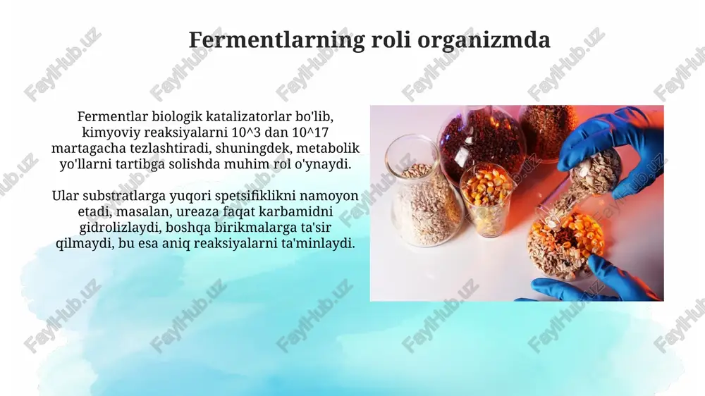 shaklarda ham uchraydi, 5-15% hollarda noto'g'ri tashxisga olib keladi. organ-spetsifik fermentlarning klinik ahamiyati jigar fermentlari (alt, ast) darajasi o'zgarishi gepatit, sirroz kabi jigar kasalliklarini tashxislashda muhim rol o'ynaydi, chunki bu fermentlar jigar hujayralarida yuqori konsentratsiyada mavjud. pankreatik amilaza va lipaza darajasi oshishi o'tkir pankreatitni aniqlash uchun diagnostik ahamiyatga ega. amilaza normaning uch barobaridan yuqori bo'lishi diagnostik ko'rsatkich hisoblanadi. enzim diagnostikasining kelajagi kelajakda yuqori sezgir biosensorlar erta bosqichdagi kasalliklarni aniqlashda, masalan, yurak yetishmovchiligida nt-probnp ni o'lchashda muhim rol o'ynaydi. proteomika va metabolomika ma'lumotlarini integratsiyalashgan enzim diagnostikasi erta bosqichda kasalliklarni aniqlash va individual davolash usullarini ishlab chiqish imkonini beradi. xulosa fermentlarning organospesifikligi diagnostik ahamiyatga ega bo'lib, 5-nukleotidaza jigar patologiyasini, kreatin kinaza mb esa yurak zararlanishini aniqlashga yordam beradi. enzim diagnostikasi qon zardobidagi fermentlar darajasini o'lchash orqali kasalliklarni erta aniqlashga imkon beradi, masalan, alanin aminotransferaza (alt) 40 u/l dan oshsa jigar shikastlanishi mumkin. e'tiboringiz uchun rahmat image2.png image3.jpg image4.jpg image5.jpg image6.jpg image7.jpg image8.jpg …