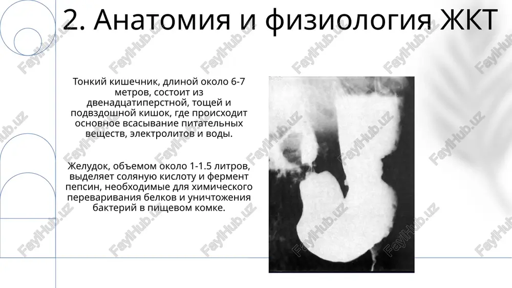 klyuchevuyu rol v razvitii kolorektalnogo raka, uvelichivaya risk zabolevaniya primerno na 5-10% u lyudey s nasledstvennoy predraspolojennostyu. 16.diagnostika zabolevaniy jkt endoskopicheskoe issledovanie jkt, takoe kak kolonoskopiya, pozvolyaet vizualizirovat slizistuyu obolochku i vzyat biopsiyu dlya gistologicheskogo analiza s tochnostyu do 95%. manometriya visokogo razresheniya pishevoda izmeryaet davlenie i koordinatsiyu mishts pri glotanii, otsenivaya do 36 tochek davleniya, chto pomogaet diagnostirovat axalaziyu. 17.sovremennie metodi lecheniya i profilaktiki pri lechenii vzk primenyayut targetnuyu terapiyu, naprimer, anti-fno preparati i ingibitori integrinov, vozdeystvuyushie na spetsificheskie molekuli immunnogo otveta, povishaya effektivnost i snijaya pobochnie effekti. dlya profilaktiki raka tolstoy kishki rekomenduetsya regulyarnaya kolonoskopiya, nachinaya s 45 let, dlya obnarujeniya i udaleniya polipov, snijaya risk zabolevaniya na 70-90%. spasibo za vnimanie image1.png image2.jpg image3.jpg image4.jpg image5.jpg image6.jpg image7.jpg image8.jpg image9.jpg image10.jpg image11.jpg