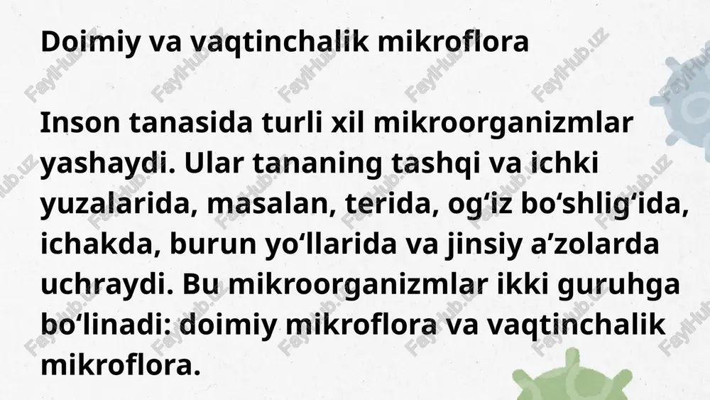 ko‘z sirtini himoya qiluvchi mexanizmlar mikroblarning ko‘payishiga yo‘l qo‘ymaydi. asosiy mikroorganizmlar: staphylococcus epidermidis corynebacterium (difteroidlar) staphylococcus aureus (kam hollarda) 👁️ ko‘z mikroflorasi ko‘z mikroblari asosan ko‘z qovoqlari chetlari, kirpik ildizlari va **kon’yunktiva (ko‘z shilliq qavati)**da uchraydi. bu joylarda staphylococcus epidermidis, corynebacterium va kam hollarda staphylococcus aureus kabi mikroorganizmlar yashaydi. ko‘zda mikroblarni tutib qoluvchi va himoya qiluvchi bir nechta mexanizmlar mavjud: ko‘z yoshi suyuqligi ferment lizozim yordamida mikroblarni yo‘q qiladi, ko‘z qovoqlarining miltillashi chang va mikroblarni mexanik ravishda chiqarib tashlaydi, shilliq qavat esa mikroblarni yopishtirib ushlab qoladi. bu mikroflora ko‘z sog‘lig‘ida muhim rol o‘ynaydi — u patogen mikroblarning ko‘zga kirib ko‘payishiga to‘sqinlik qiladi va ko‘zning mahalliy immun himoyasini qo‘llab-quvvatlaydi. 💧 siydik ajratish tizimi mikroflorasi sog‘lom odamda siydik ajratish tizimining ichki qismlari (buyraklar, siydik yo‘llari, siydik pufagi) odatda steril, ya’ni mikroblardan holi bo‘ladi. mikroflora faqat siydik chiqarish kanalining (uretra) tashqi qismida uchraydi. asosiy mikroorganizmlar: staphylococcus epidermidis corynebacterium lactobacillus streptococcus viridans enterococcus faecalis …