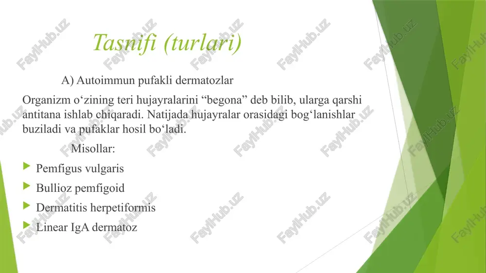 q qavatda pufaklar (bullalar) hosil bo‘lishidir. ammo belgilar kasallik turiga qarab biroz farq qiladi. quyida umumiy va asosiy belgilar keltirilgan teri o‘zgarishlari teri yuzasida pufaklar (bullalar) hosil bo‘ladi. pufaklar tiniq yoki loyqa suyuqlikka to‘lgan bo‘ladi. ular turli kattalikda bo‘ladi — ba’zan no‘xatdek, ba’zan yong‘oqdek. pufaklar yolg‘iz yoki bir-biriga qo‘shilgan holda paydo bo‘ladi. pufaklar yorilgach, o‘rnida eroziya (yaramon, ho‘l joy) qoladi. ba’zan yara qobiq bilan qoplanadi. asoratlari (davolanmasa) ikkinchi darajali infeksiya (yara joyiga mikroblar tushadi) suyuqlik yo‘qotish → suvsizlanish chandiqlar qolishi uzoq davom etsa — teri yupqalashadi yoki pigmentatsiya o‘zgaradi 1. diagnostika (tashxis qo‘yish usullari) pufakli dermatozlar tashxisi ko‘rish, laborator tahlillar va maxsus testlar yordamida aniqlanadi. a) klinik ko‘rik shifokor bemorning terisini va shilliq qavatlarini ko‘zdan kechiradi. pufaklarning shakli, hajmi, joylashuvi va yorilish xususiyati baholanadi. og‘iz ichi va boshqa shilliq pardalarda eroziyalar borligi aniqlanadi. nikolskiy belgisi tekshiriladi: teri usti biroz ishqalanadi, agar epidermis ajralib ketsa — ijobiy, bu pemfigus vulgarisga xos. …