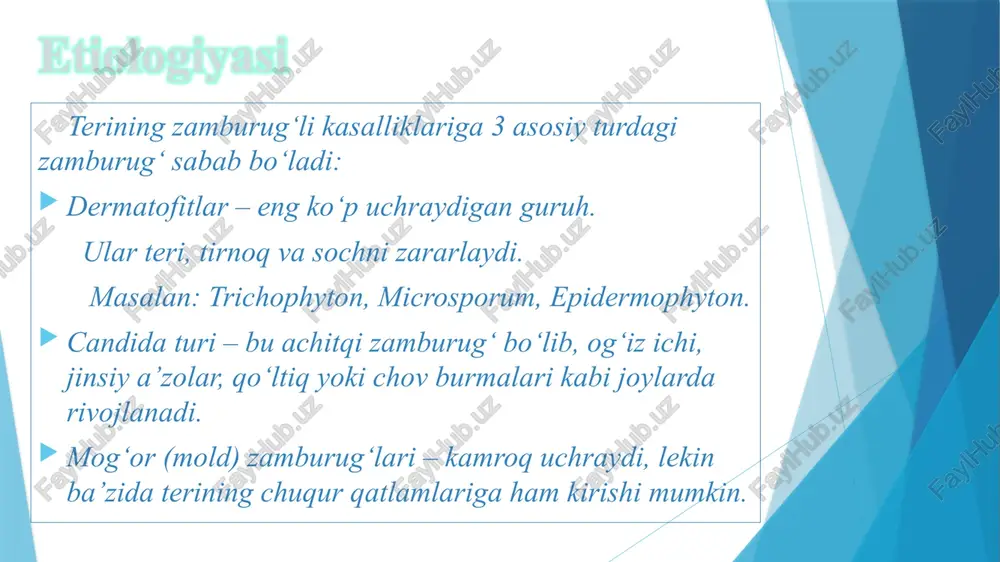 trimazol) mikonazol (miconazol) ketokonazol (nizoral) terbinafin (lamisil) naftifin (exoderil) kuniga 1–2 marta 2–4 hafta davomida surtish kerak. belgilar yo‘qolgandan keyin ham kamida 1 hafta davom ettirish lozim — zamburug‘ qaytmasligi uchun. umumiy (sistemali) davolash agar kasallik keng tarqalgan bo‘lsa yoki tirnoq/soch zararlangan bo‘lsa, og‘iz orqali ichiladigan dorilar beriladi. masalan: flukonazol (flucostat) itrakonazol (orungal) terbinafin tabletkalari bu dorilar shifokor nazoratisiz ichilmaydi, chunki ular jigarga yuklama beradi. qo‘shimcha yordam choralari: zararlangan joyni quruq va toza tutish har kuni paypoq, sochiq, kiyimni almashtirish boshqalar bilan shaxsiy buyumlarni ulashmaslik qichishish yoki yallig‘lanish kuchli bo‘lsa — antihistamin (masalan, loratadin) berilishi mumkin profilaktika shaxsiy gigiyenaga rioya qilish o‘z sochiq, poyabzal, tarog‘ingni hech kim bilan bo‘lishma. teringni quruq tutish ayniqsa oyoqlar, chov va qo‘ltiq sohalarini. paypoq va oyoq kiyimni har kuni almashtirish paypoq tabiiy (paxtali) bo‘lsin, oyoq kiyim tor bo‘lmasin. hammom, sauna, basseynda yalangoyoq yurmaslik immunitetni mustahkamlash to‘g‘ri ovqatlanish, vitaminlar, tinch uyqu, stressni kamaytirish. e’tiboringiz uchun minnatdormiz! …