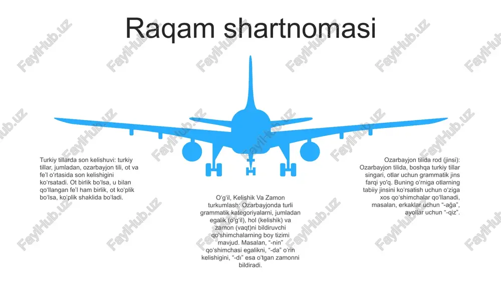 rod, son, kelishik va zamon kategoriyalari - Page 4