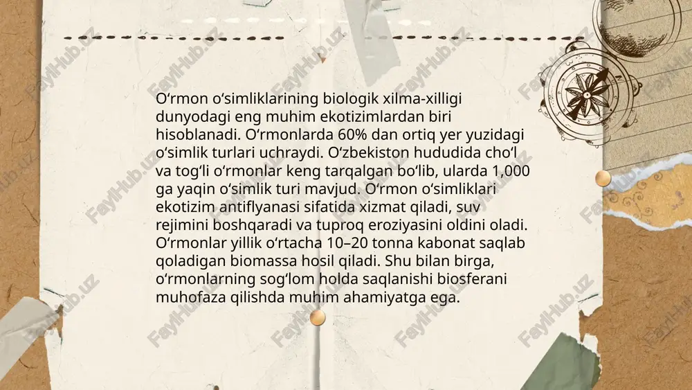oʻrmon oʻsimliklari va ularning turlari - Page 4