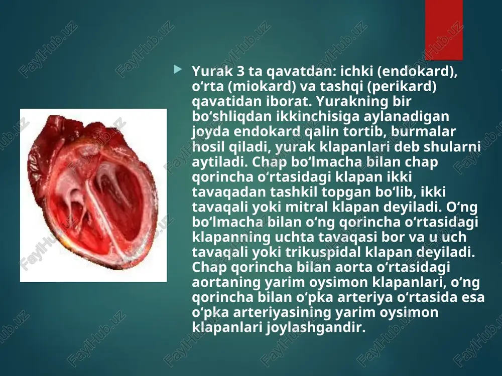 okortikoidlar 4-aminoxinolin guruxi (delagil, plakvenil) metabolik davo (riboksin, atf, kokarboksilaza, vitaminlar) simptomatik davo (yurak glikozidlari, peshob xaydovchi dorilar) illatlarda – xirurgik davo. profilaktika birlamchi – nasliy moyillik bulganlarda o`choq infeksiyalarni sanasiya qilish va tanani chiniqtirish. ikkilamchi – bisillin –3, bisillin 5, ekstensillin 2,4 mln. birlik 3 haftada 1marta m/o e’tiboringiz uchun raxmat!