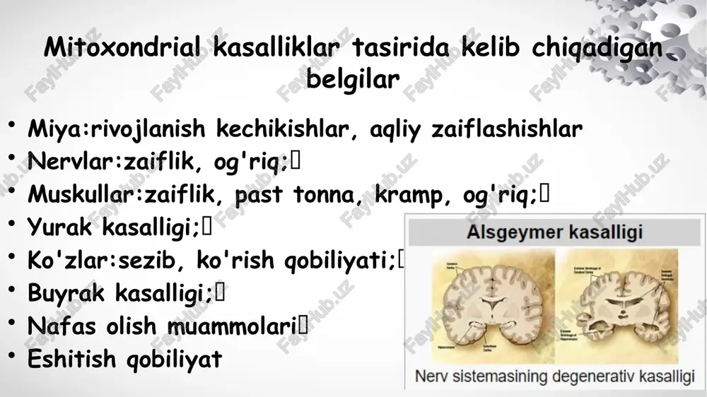 mitoxondrial kasalliklar - Page 4