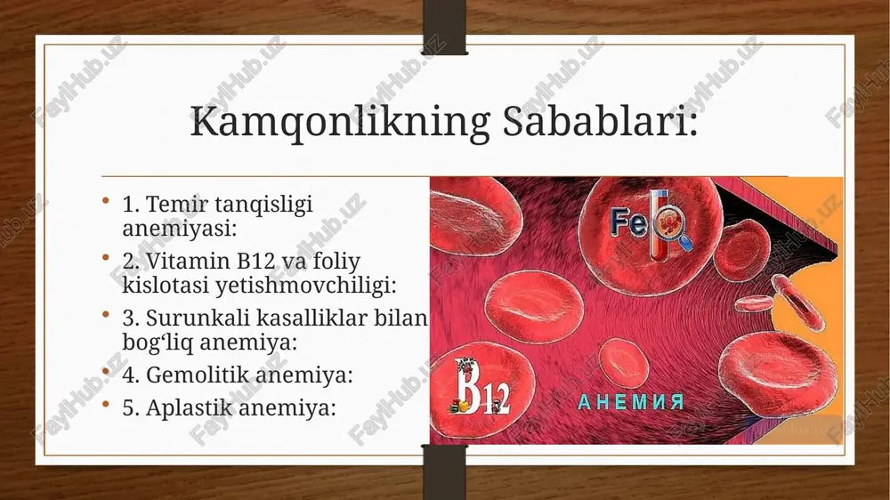 kamqonlikturlarivasabablarikelibchiqishi - Page 4