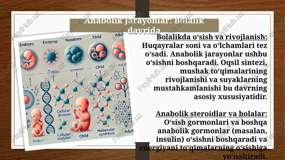 biofizikafanidan mustaqilish - Page 4