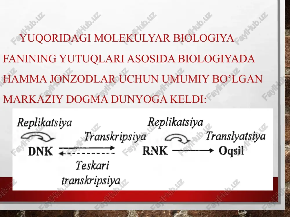 molekulyar biologiya - Page 4