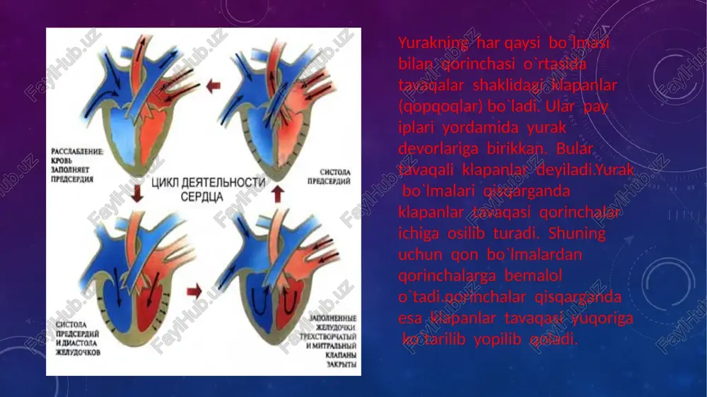 asalliklari statistika jahon sog‘liqni saqlash tashkiloti ma’lumotlariga ko‘ra, barcha o‘lim holatlarining 56 foizi yurak qon-tomir tizimi kasalliklari oqibatida kelib chiqadi. buning deyarli yarmi (umumiy o‘limning 26 foizi) yurakning koronar kasalliklari ulushiga to‘g‘ri keladi. yurak qon-tomir kasalliklari yevropada yiliga 4,3 mln (48%), 27 ta yevropa ittifoqi mamlakatlarining 2 mln (42%) aholisining o‘limiga sababchi bo‘ladi. yurak ishemik kasalliklari yevropada o‘limning eng ko‘p sababi hisoblanadi. erkaklarda 16%, ayollarda 15% o‘lim yurak i­shemik kasalliklari sababli yuzaga keladi. insult o‘lim sababchisi sifatida yuikdan keyingi 2-o‘rinda (ayollarda 17%, erkaklarda 11%) turadi. yurak qon-tomir kasalliklari, uning asoratlari mehnat qobiliyatini yo‘qotish hamda nogironlikning asosiy sababi hisoblanadi. mamlakat miqyosida sog‘liqni saqlash tizimiga sarflanayotgan mablag‘ning bir ne­cha marta o‘sishiga olib keladi. ma’lumot uchun xx asrda yurak qon-tomir tizimi kasalliklarining o‘sishi bir tomondan keksa yoshli aholi sonining ortishi bilan tushuntirilsa, ikkinchi tomondan iqtisodiyotning o‘sishi va sanoatlashtirish natijasida mehnat va turmush tarzining yaxshilanishi, ovqatlanish taomillarining o‘zgarishi bilan bog‘liq. 1970-yilda butun dunyo aholisining …
