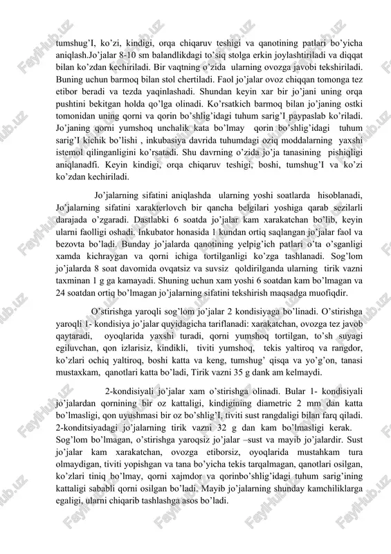 o’zida jo’ja tanasining pishiqligi aniqlanadfi. keyin kindigi, orqa chiqaruv teshigi, boshi, tumshug’i va ko’zi ko’zdan kechiriladi. jo’jalarning sifatini aniqlashda ularning yoshi soatlarda hisoblanadi, jo’jalarning sifatini xarakterlovch bir qancha belgilari yoshiga qarab sezilarli darajada o’zgaradi. dastlabki 6 soatda jo’jalar kam xarakatchan bo’lib, keyin ularni faolligi oshadi. inkubator honasida 1 kundan ortiq saqlangan jo’jalar faol va bezovta bo’ladi. bunday jo’jalarda qanotining yelpig’ich patlari o’ta o’sganligi xamda kichraygan va qorni ichiga tortilganligi ko’zga tashlanadi. sog’lom jo’jalarda 8 soat davomida ovqatsiz va suvsiz qoldirilganda ularning tirik vazni taxminan 1 g ga kamayadi. shuning uchun xam yoshi 6 soatdan kam bo’lmagan va 24 soatdan ortiq bo’lmagan jo’jalarning sifatini tekshirish maqsadga muofiqdir. o’stirishga yaroqli sog’lom jo’jalar 2 kondisiyaga bo’linadi. o’stirishga yaroqli 1- kondisiya jo’jalar quyidagicha tariflanadi: xarakatchan, ovozga tez javob qaytaradi, oyoqlarida yaxshi turadi, qorni yumshoq tortilgan, to’sh suyagi egiluvchan, qon izlarisiz, kindikli, tiviti yumshoq, tekis yaltiroq va rangdor, ko’zlari ochiq yaltiroq, boshi katta va keng, …