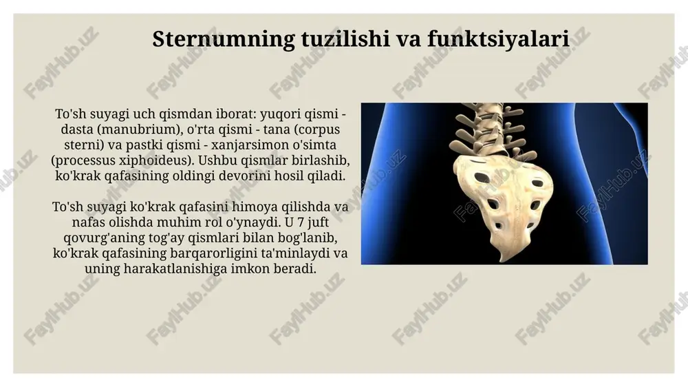 tilishi mumkin. xulosa xulosa qilib aytganda, qovurg'alar va to'sh suyagi yoshga qarab o'zgaradi, suyak zichligi kamayadi, bu esa 206 ta suyakning zaiflashishiga va sinish xavfining oshishiga olib keladi. qovurg'a tog'ayining 40 yoshdan keyin ossifikatsiya jarayoni kuchayishi, to'sh suyagining 7 segmenti orasidagi birikmalarning qattiqlashishi nafas olish mexanikasini o'zgartiradi. e'tiboringiz uchun rahmat image3.jpg image4.jpg image5.jpg image6.jpg image7.jpg image8.jpg image9.jpg image10.jpg image11.jpg image12.jpg image13.jpg image14.jpg image15.jpg image16.jpg image17.jpg