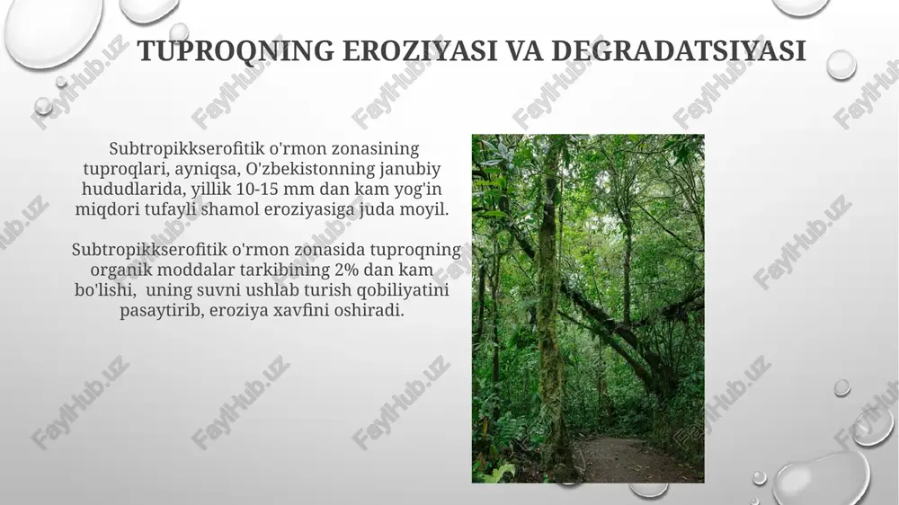 arida uchraydigan subtropikkserofitik o'rmon tuproqlarida kaltsiy karbonat miqdori 20-30% ga yetadi va bu tuproqning gidrofizik xususiyatlariga sezilarli ta'sir ko'rsatadi. o'zbekistonning janubiy hududlaridagi subtropikkserofitik o'rmon zonasining tuproqlari ph darajasi 7,5-8,5 oralig'ida o'zgarib turadi va bu yuqori karbonat miqdorini ko'rsatadi. organik moddalar miqdori va tarkibi qoraqalpogʻistonning ayrim quruq subtropik hududlarida organik moddalar miqdori past boʻlib, atigi 0,5% ni tashkil etadi, bu esa tuproq unumdorligining pastligidan dalolat beradi. janubiy kaliforniya subtropik xerofitik oʻrmonlari tuproqlarining organik moddalar tarkibida sellüloza va lignin kabi murakkab organik birikmalar 60-70% ni tashkil etadi. tuproqning issiqlik rejimi oʻzbekistonning janubiy hududlaridagi, masalan, qashqadaryo viloyatining xerofitik oʻrmon zonalarida tuproqning yuzaki qatlami yil davomida 25-35°c gacha qiziydi, chuqurroq qatlamlarda esa harorat sezilarli darajada past boʻladi. tuproqning issiqlik rejimi, ayniqsa, 1 metr chuqurlikdagi oʻrtacha yillik temperaturasi 18-22°c boʻlgan subtropik xerofitik oʻrmonlarda, namlik miqdoriga bevosita bogʻliqdir. tuproq resurslaridan foydalanish subtropik kserofitik o'rmon zonasining tuproqlari, masalan, o'zbekistonning janubiy hududlaridagi 15% maydonni egallaydi va ularning unumdorligi …