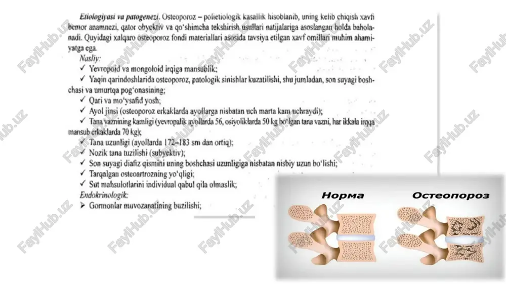 osteoporoz - Page 4