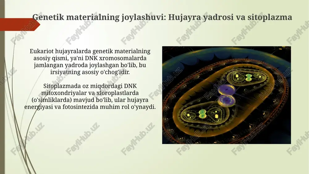 hujayra: irsiyatning moddiy asosi - Page 4