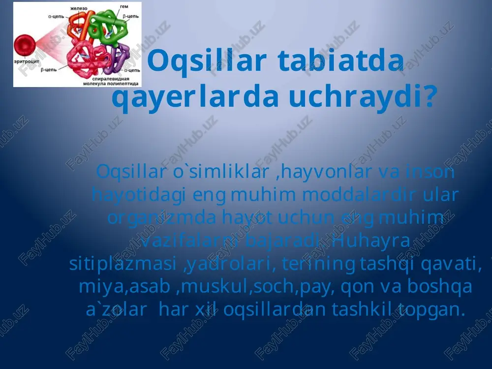 yonida tez vodorod sülfidin hosil tizim bo'yicha disülfid ko'prik hozirgi sulfgidridnye bepul hs-guruhlar, tarkibida qo'shimcha ravishda. disülfid ko'prik ko'p yanada barqaror va oqsil kengaytirish vodorod sülfidin hosil emas peptidlar va oqsillar oqsillar denaturatsiyasi yuqorituzilishdagi tuzilmalar fizik va kimyoviy omillar (yuqori harorat, kislota, ishqor va b.) taʼsirida quyi tuzilishdagi shakllarga qaytadi (bu hodisa oqsillar denaturatsiyasi deb ataladi), natijada ular oʻz biologik faolligini yoʻqotadi. bilasizmi? ayrim odamlarning ko`zlarining moviy rangda bo`lishi biror bir boshqa pigment ta`siridan emas balkiy qora ko`zlardagi kabi aynan melanin tufayli bo`ladi. qora ko`zli odamlardan farqli ravishda moviy ko`z odamlar ko`zidagi melanin moddasi ,juda kichik zarrachalar shaklida bo`lib unda yoriqlikning qaytishi , huddi atmosferadagi yorug`likning mayda zarrachalardan qaytishi sababidan osmoning moviy rangda ko`rinishi kabi hodisa tufaylidir. test. so`lak tarkibiga kiruvchi mutsin oqsili qaysi guruhga mansub? a) prolamin b) protamin s)skleroprotin d) glukoproteid 1- savol qaysi qon tomiri evropadagi davlatning poytaxti nomini olgan? javob vena – avstriya. 2- savol «timsoh …