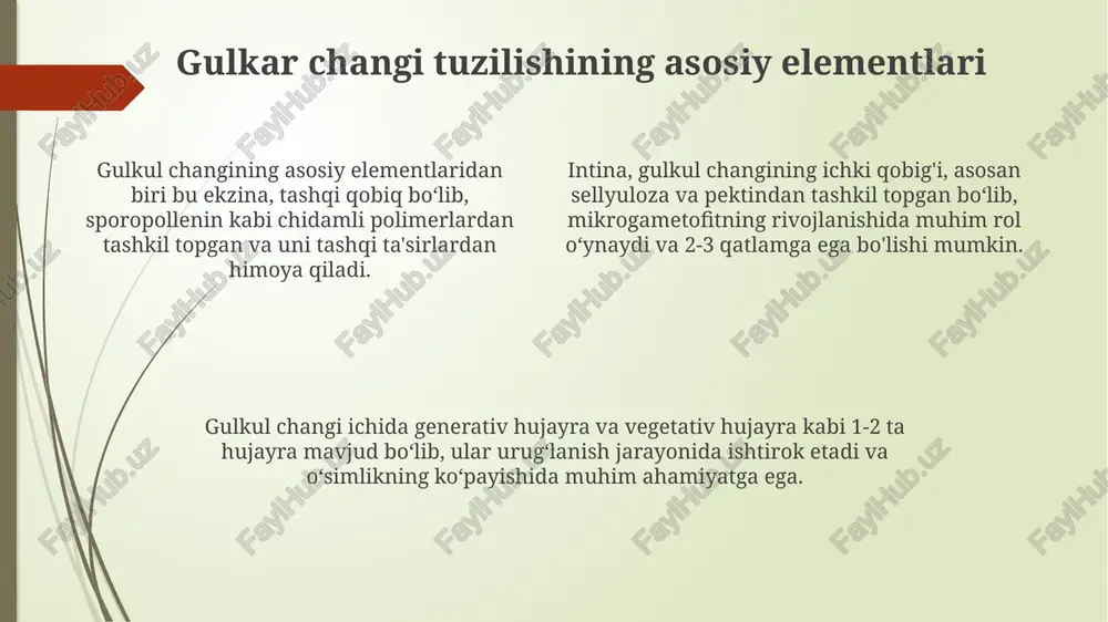 gulkar changining ichki tuzilishini mikroskopda kuzatish - Page 4