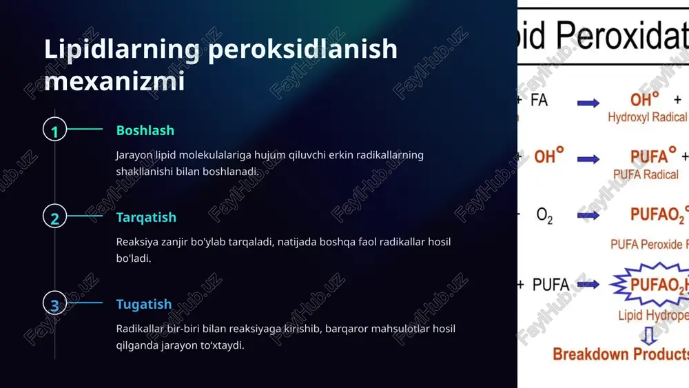 lipid peroksidatsiyasi - Page 4