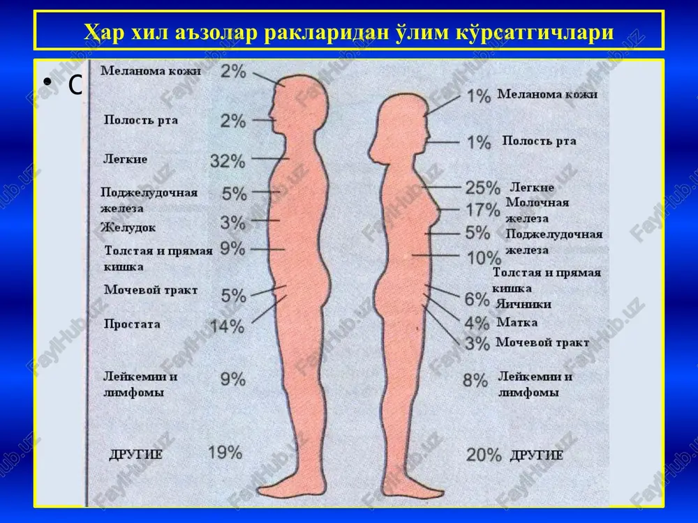 1-2 sm bo'lanida, uning jigardagi metastazi 10-20 smgacha kattalashadi. retsidiv – o'sma olib tashlangandan keyin o'z joyidan yoki boshqa joydan qayta o'sib chiqishi. xavfli o'smalarning xususiyatlari epiteliy xavfsiz o'smalari epiteliyning a'zoga xos emas o'smalari, bu – epidermis, og'iz bo'shlig'i, qizilo'ngach, endometriy, peshob yo'llari epiteliysidan o'suvchi xavfsiz va xavfli o'smalardir. papilloma – papilla – so'rg'ichli xavfsiz o'sma. teri, muguzlanmaydigan yassi epiteliyli shilliq pardalar: og'iz bo'shlig'i, ovoz boylamlari, buyrak jomi va yo'llari, siydik pufagidan o'sadi. epidermis qalinlashgan, bazal membrana saqlangan stromasi so'rg'ichlar paydo qilib o'sgan adenoma – bez a'zolar xavfsiz o'smasi. bez epiteliysi meyor tuzilishga ega, bazal membranada joylashgan. o'smada bez tuzilmalari stroma elementlari bilan har xil nisbatta. gistologik tuzilishi bo'yicha: 1)fibroadenoma; 2) atsinar; 3)alveolyar; 4)tubulyar; 5) trabekulyar; 6)so'rg'ichli adenoma. epiteliy xavfsiz o'smalari polip – prizmatik epiteliy qoplagan shilliq pardalar xavfsiz o'smasi. so'rg'ich paydo qilib o'sgan stromada joylashgan prizmatik epiteliy meyor tuzilishga ega, bazal membranasi buzilmagan. gistologik tuzilishi bo'yicha bunday o'smani adenomatoz …