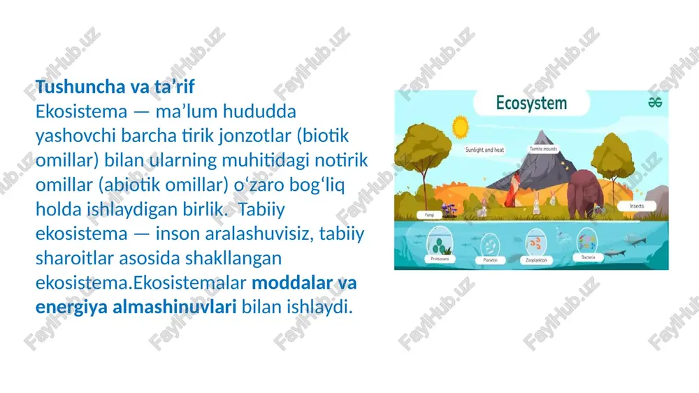 kesilishi, o‘rmonlarning kamayishi shaharsozlik va infratuzilma – tabiiy hududlarning buzilishi inson aralashuvi – kimyoviy modda, ifloslanish invasive (begona) turlar – mahalliy turlarni siqishi fragmentatsiya (hududning parchalanishi) – ekosistemaning ajratilishi masalan, o‘zbekiston hududida tabiiy ekosistemalar yer almashuvi tufayli kamaymoqda. himoya va tiklash choralari tabiiy hududlarni saqlash va himoya zonasini belgilash (milliy bog‘lar, rezervatlar) ekosistemalarni tiklash (restoratsiya): degradatsiyaga uchragan hududlarni qayta tabiiy holatga qaytarish barqaror boshqaruv: odamlar foydalanadigan hududlarda ekosistemaning qoidalariga rioya qilish yadro hududlar va buf­fer zonalar yaratish ijtimoiy bilim, ekologik ta’lim va jamiyat ishtiroki quruq hududlarda suvni tejash, yerni eroziyadan himoya qilish tabiiy echimlar (nature-based solutions) — tabiiy ekosistemalarni muhofaza qilish va ulardan barqaror foydalanish vositalari. o‘zbekiston hukumati tabiiy ekosistemalarni himoya qilishga qaratilgan siyosatlar qo‘llamoqda: masalan, 2030-yilgacha degradatsiyaga uchragan hududlarning 30 %ni tiklash maqsadi. xulosa tabiiy ekosistemalar — tirik va noorganik omillar o‘rtasidagi muvozanatni ta’minlaydigan murakkab tabiiy tizimlardir. ular orqali energiya oqimi va moddalar aylanishi uzluksiz davom etadi, bu esa …