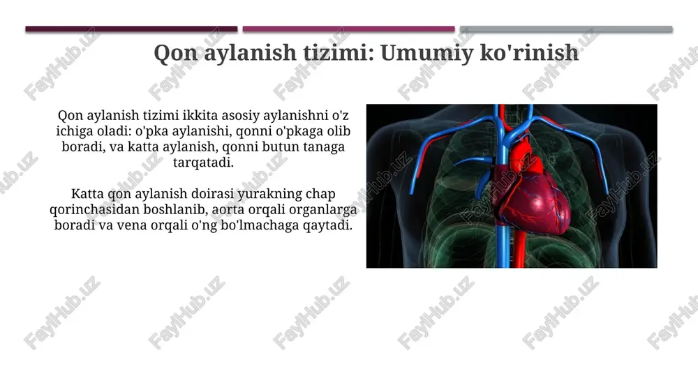 yurak mushaklari va qon aylanish - Page 4