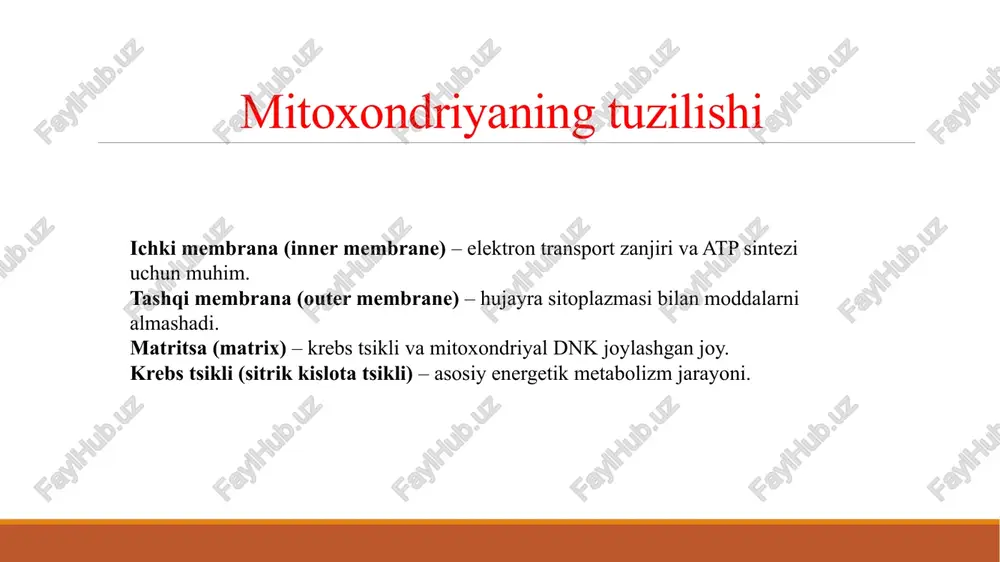 kidan 4-5 marta ko’p. ovotsitlarda mitoxondriyalar juda ko’p bo’ladi, ularning soni 300 mingta, gigantik amyoba chaos chaosda 500 mingta bo’ladi. xulosa mitoxondriyalar hujayraning energetik markazi bo‘lib, ularning biokimyoviy tahlili hujayraning metabolik faoliyati va sog‘lig‘ini aniqlashda muhim ahamiyatga ega. enzim faolligi, atp sintezi, kislorod iste’moli, ros darajasi va mtdnk tahlili orqali mitoxondriyal faoliyatning holati baholanadi. mitoxondriya disfunktsiyasi esa turli kasalliklar rivojlanishiga sabab bo‘lishi mumkin. e’tiboringiz uchun raxmat image2.png image3.png image4.jpeg image5.jpeg image6.jpeg chloroplasts isolated on black /docprops/thumbnail.jpeg