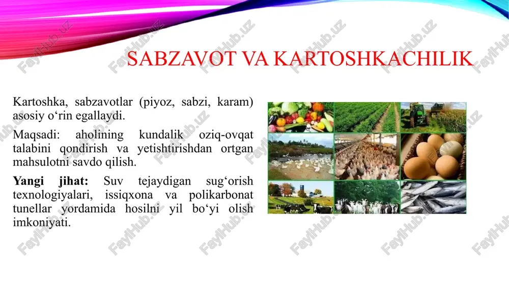 har bir tarmoq — don ekinlari, sabzavot va poliz ekinlari, meva-sabzavotchilik, chorvachilik, yem yetishtirish va agrotexnologik xizmatlar — bir-birini to‘ldirib, ishlab chiqarish samaradorligini oshiradi. zamonaviy texnologiyalar va ekologik yondashuvlar yordamida bu tarmoqlar nafaqat sifatli mahsulotlar yetishtirish, balki eksport salohiyatini rivojlantirish va hudud iqtisodiyotini mustahkamlashga xizmat qiladi. e’tiboringiz uchun raxmat image2.png image3.jpeg image4.jpeg image5.png image6.jpeg image7.jpeg image1.png /docprops/thumbnail.jpeg