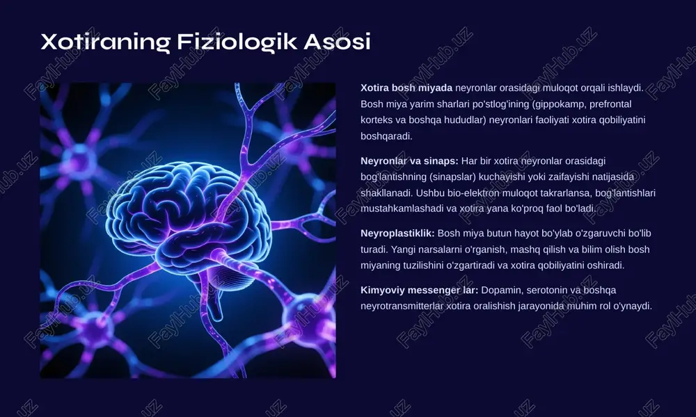 u: uyqu vaqtida bosh miya xotiralarni muomala qiladi va mustahkamlaydi. har kuni 7-9 soat sifatli uyqu xotirani kuchaytirishning eng muhim omilidir. to'g'ri ovqatlanish: antioksidantlar, omega-3 yog'lar va b vitaminlar bosh miya va xotira sog'log'i uchun juda muhimdir. stressni kamaytirish: ortiqcha stress xotirani buzadi. meditatsiya, jismoniy mashq va dam olish stressni kamaytirish usullaridir. qiziqarli o'rganish yangi bilimlarni qiziqarli va ma'noli tarzda o'rganish xotiraga ancha ko'proq tushadigan ma'lumotlarni saqlaydi. o'rganilgan material amaliy misollar bilan bog'langan bo'lsa, xotiraga ko'proq ot savashadi. jismoniy faollik regular jismoniy mashq bosh miya qon oqimini yaxshilaydi, yangi neyronlarni hosil qiladi va xotirani kuchaytirib turadi. haftalik 150 minut faol mashq juda foydali. xotira 4 kelajak kaliti xotira bizning o'tganimiz, hozirimiz va kelajagimizni bog'laydi. u biz kimligimizkiy, nima qila olimizkiy va nima bo'limokhchamizni aniqlaydi. xotirani rivojlantirish va mustahkamlash orqali biz: ko'proq bilim va ko'nikma egallashimiz mumkin hayotda to'g'ri qarorlar qabul qila olamiz musobbat va xusnaxo'y munosabatlar yaratishimiz mumkin shaxsiy rivojlanish …