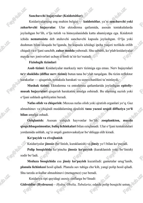 ularia; odatda polip bosqichi ustun. seyfomeduzalar (scyphozoa) – haqiqiy meduzalar (aurelia aurita), meduza bosqichi ustun. antozoalar (anthozoa) – korallar va dengiz aktiniyalari, faqat polip bosqichida yashaydi. kubomeduzalar (cubozoa) – kub shaklidagi meduzalar, kuchli zaharga ega (chironex fleckeri). ekologik va biologik ahamiyati knidariyalar suv ekotizimlarining muhim qismini tashkil etadi. ular: plankton va nekton hayvonlarining o‘ljasiga aylanadi; okean va dengizlar biomassasini shakllantirishda qatnashadi; korall riflarini hosil qilib, ko‘plab organizmlar uchun yashash muhitini yaratadi; ba’zi turlari (masalan, hydra) biologik tadqiqotlarda model organizm sifatida ishlatiladi; ayrim meduzalar zahari tibbiyotda neyrotoksinlar va farmatsevtik modda sifatida o‘rganiladi. knidariya tipi vakillari — soddaligi va moslashuvchanligi bilan birga, evolyutsiya jarayonida murakkab hayvonlarga xos ko‘plab biologik tizimlarning dastlabki shaklini namoyon etuvchi organizmlardir. ularning tuzilishida nerv tizimi, musak faoliyati, hujayra regeneratsiyasi, jinsiy va jinssiz ko‘payish mexanizmlari mavjud bo‘lib, bu ularni umurtqasiz hayvonlarning evolyutsion rivojlanish zanjirida muhim o‘rin egallashiga sabab bo‘ladi. 2. gidroid poliplar sinfi (hydrozoa) ning morfologik va anatomik tuzilishi …