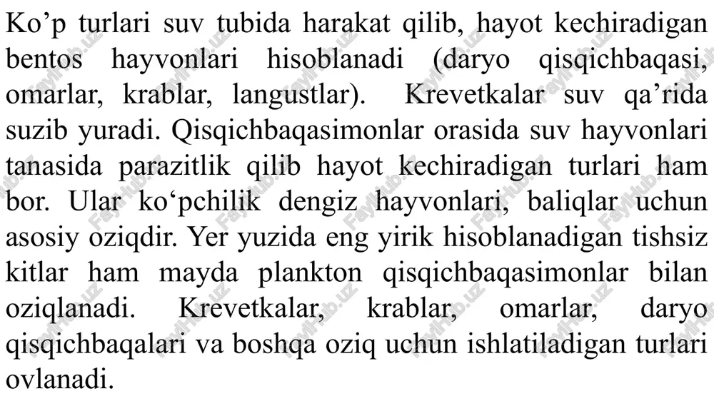 -imuskul xaltasi hosil qilmasdan to’p-to’p bo’lib joylash­ gan. qisqichbaqaasimonlarning ogiz teshigi boshining ostki tomonida joylashgan. ichagining oldingi va keyingi bo’limlarining ichki yuzasi xitin kutikula bilan qoplangan. tullash davrida ichakning bu qismlari ham po’st tashlaydi. orqa chiqaruv teshigi telson o’simtasining qorin tomonida joylashgan. qisqichbaqasimonlar jigari bir juft ovqat hazm qiluvchi bezlardan iborat. ko’pchilik qisqichbaqasimonlarning ichagi to’g’ri naydan iborat. ayrim vakillari, masalan, o’noyoqli yuksak qisqichbaqasimonlar oldingi ichagining og’iz teshigidan yuqori tomonga tik yo’nalgan oldingi qismi qisqa halqumni, keyingi qismi esa ikki bo’lmali oshqozonni hosil qiladi. oshqozonning kardial, ya’ni chaynovchi oshqozon deb ataladigan birinchi bo’lmasi devorida xitin tishchalardan iborat uchta plastinkasi buladi. ikkinchi pilorik bo’lmasidagi yupqa kutikulali o’simtalar elak vazifasini bajaradi. bu o’simtalar orqali o’rta ichakka faqat suyuq oziq o’tishi mumkin. oshqozonda oziq maydalanishi bilan birga qisman hazm ham bo’ladi. o’rta ichak kalta bo’lib, jigar bilan bog’langan. tuban qisqichbaqasimonlar jigari o’rta ichakning yon o’simtalaridan hosil bo’lgan juft naychalardan iborat. daryo qisqichbaqasining jigari ikkita …