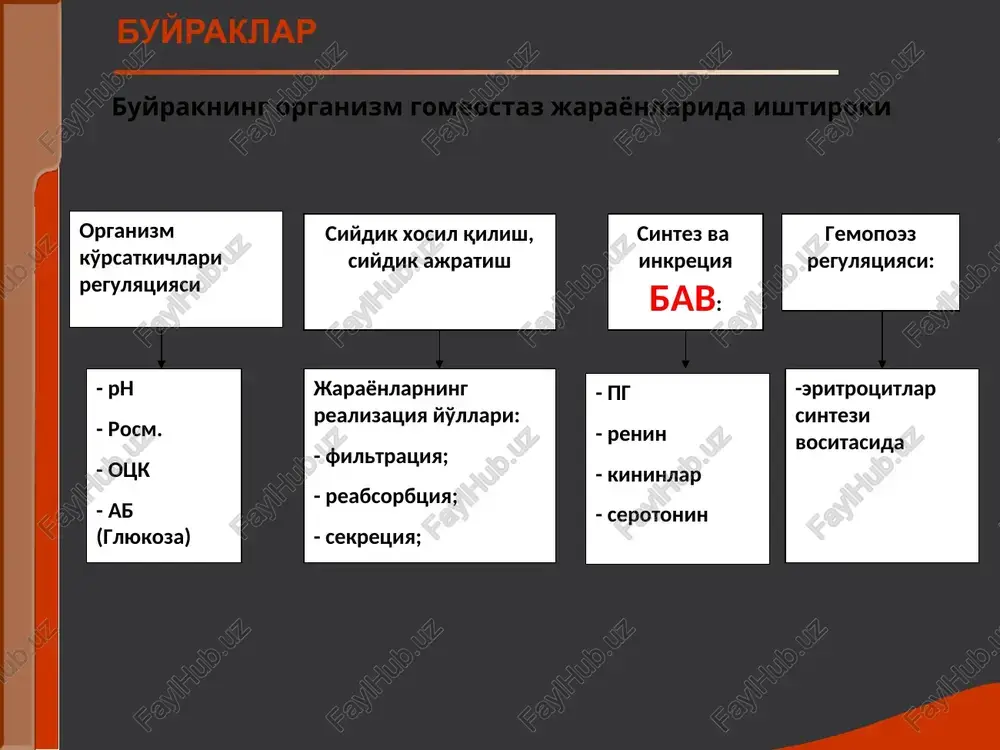 tarqaldi, qanchalik tez o'sib bordi. buyrak shishlari ko'proq ertalab, yuzlarda paydo bo'dadi, yumshok ya'ni bosganda iz kolmaydi, issik, rangpar xisoblanadi. suyuqlik bo'shliqlarda (gidrotoraks, gidroperikard, astsit, anasarka) kurinishida kuzatiladi. isitmalash buyrak patologiyali bemorlarda isitma infektsiya belgisi bo'lishi mumkin (masalan, tez-tez qaltirash va profuz terlash bilan kechsa asosan o'tkir (kamroq surunkali) pielonefritda, apostematoz nefritda),o'smalarda, nefrotik sindromdagi nefrotik krizda. buyrak tuberkulezida uzoq vaqt subfebril temperatura kuzatiladi. shuningdek nospetsifik isitmalash buyrak paraneoplastik zaralanishlari (boshqa lokalizatsiyadagi o'smalar)da kuzatiladi gipertonik sindrom bosh og'rig'i, yurak soxasida og'riq, bosh aylanishi . bu belgilar ab kutariladigan kasalliklarda kuzatiladi (o'tkir va surunkali glomerulonefrit, tomir nefrosklerozi, surunkali pielonefrit, ii-iii darajali buyrak tushishida). dispeptik shikoyatlar: ko'ngil aynishi, qusish, ich ketish, meteorizm surunkali buyrak etishmovchiligi uchun xarakterli. gemorragik xolatlar milk,burun,teri qonashi. ikkinchi darajali shikoyatlar: xolsizlik, tez charchash, xotira pasayishi, ish qobiliyatining pasayishi, o'yquning buzilishi, ko'rish yomonlashuvi, teri qichishishi, og'izdan noxush xid kelishi – surunkali buyrak etishmovchiligi uchun xarakterli. shishlar «facies nephritica» anasarka ko'rik …