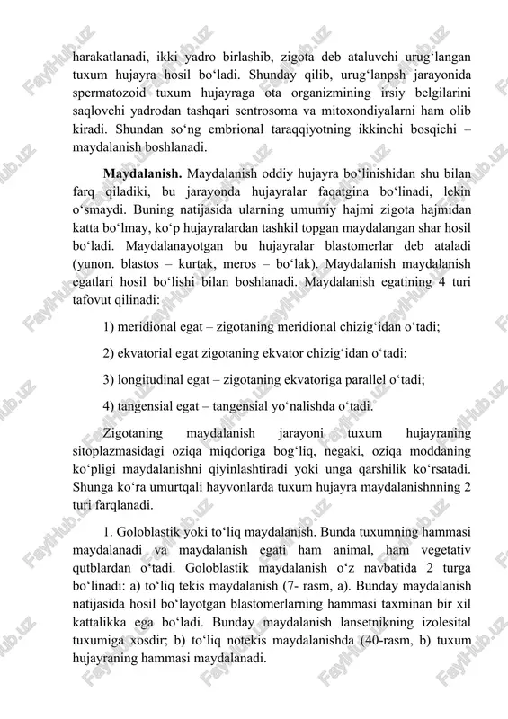dional chizig‘idan o‘tadi; 2) ekvatorial egat zigotaning ekvator chizig‘idan o‘tadi; 3) longitudinal egat – zigotaning ekvatoriga parallel o‘tadi; 4) tangensial egat – tangensial yo‘nalishda o‘tadi. zigotaning maydalanish jarayoni tuxum hujayraning sitoplazmasidagi oziqa miqdoriga bog‘liq, negaki, oziqa moddaning ko‘pligi maydalanishni qiyinlashtiradi yoki unga qarshilik ko‘rsatadi. shunga ko‘ra umurtqali hayvonlarda tuxum hujayra maydalanishnning 2 turi farqlanadi. 1. goloblastik yoki to‘liq maydalanish. bunda tuxumning hammasi maydalanadi va maydalanish egati ham animal, ham vegetativ qutblardan o‘tadi. goloblastik maydalanish o‘z navbatida 2 turga bo‘linadi: a) to‘liq tekis maydalanish (7- rasm, a). bunday maydalanish natijasida hosil bo‘layotgan blastomerlarning hammasi taxminan bir xil kattalikka ega bo‘ladi. bunday maydalanish lansetnikning izolesital tuxumiga xosdir; b) to‘liq notekis maydalanishda (40-rasm, b) tuxum hujayraning hammasi maydalanadi. lekin vegetativ qutbda sariqlik moddasi ko‘p bo‘lganligi sababli bu qutbdagi maydalanish animal qutbning maydalanishidan orqada qoladi. animal qutb blastomerlari tezroq bo‘linganligi sababli sariqlikka boy bo‘lgan vegetativ qutb blastomerlaridan maydaroq bo‘ladi. bunday maydalanish amfibiylardagi mezolesital tuxumlarga …