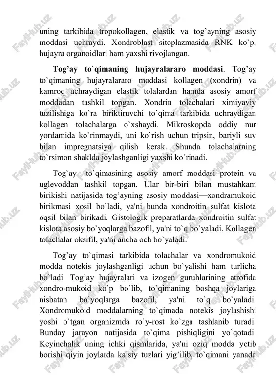 moddalarning to`qimada notekis joylashishi yoshi o`tgan organizmda ro`y-rost ko`zga tashlanib turadi. bunday jarayon natijasida to`qima pishiqligini yo`qotadi. keyinchalik uning ichki qismlarida, ya'ni oziq modda yetib borishi qiyin joylarda kalsiy tuzlari yig’ilib, to`qimani yanada mo`rt, sinuvchan qilib qo`yadi. bu to`qima elastikligini yo`qotdi, degan so`zdir. yuqorida aytilganlardan ko`rinib turibdiki, tog’ay to`qimalari tarkibiy tuzilishi bilan ajralib turadi. xuddi shuning uchun ham tog’ay to`qimasi gialin tog’ay to`qima, elastik tog’ay to`qima, tolali tog’ay to`qimalarga bo`linadi. ularning uchalasi ham mikroskopik va ultramikroskopik tuzilishiga ko`ra bir tipdagi hujayralardir. biroq hujayralararo moddalari bir-biridan farq qiluvchi o`ziga xos xossalarga ega. ularning ana shu hususiyati tog’aylarni bo`lib o`rganishni taqozo etadi. gialin (yaltiroq) tog’ay to`qima. gialin organizmda uchraydigan tog’aylarning asosiy qismini tashkil etadi. gialin tog’ay nafas olish sistemasining havo o`tadigan naysimon qismi bilan embrion skeletining ko`pgina qismini tashkil etadi. bundan tashqari, qovurg’alarning to`sh suyagi bilan birikadigan joyda, uzun naysimon suyaklarning epifiz va diafiz qismlari tutashadigan joylarda (metaepifizar tog’ay), skelet suyaklarining bo`g’im …