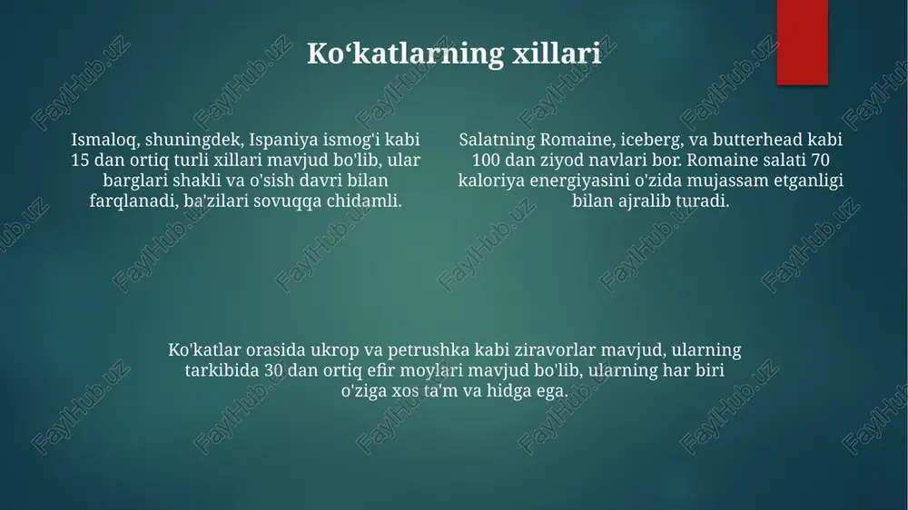 ko'katlar - Page 4