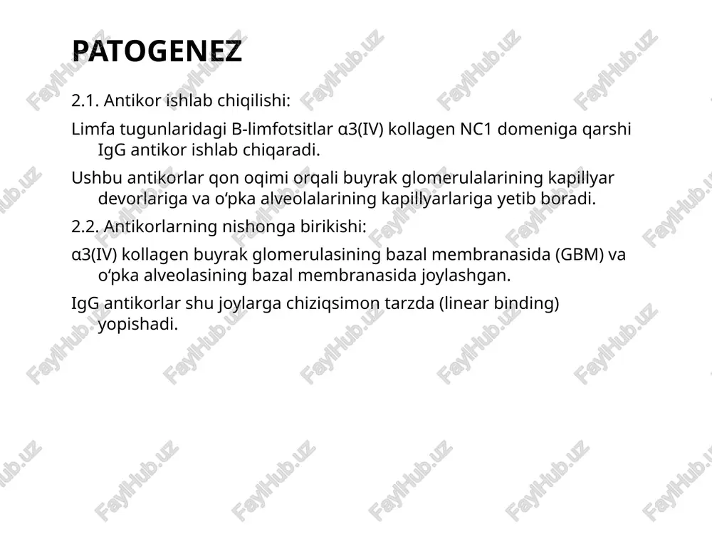 yengil shish, tez charchash, vaqti-vaqti bilan yurak urish tezlashuvi kuzatiladi. tibbiy tarixida bir necha bor siydikda oqsil aniqlangan, ammo aniqlangan sabab topilmagan. laborator tahlilda: esr — 45 mm/soat (↑) gemoglobin — biroz kamaygan leukotsitlar — biroz pasaygan siydikda oqsil (+), eritrotsitlar (+) rf — manfiy ana — ijobiy savol: yuqoridagi klinik ma’lumotlar asosida eng ehtimoliy tashxisni aniqlang: rahmat image3.png image4.png image5.png