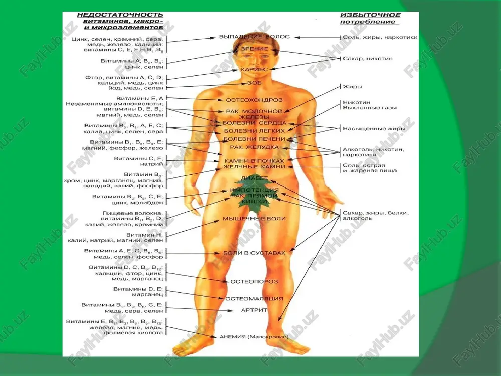 alimentarjetispewshiligihám aqıbetleri - Page 4
