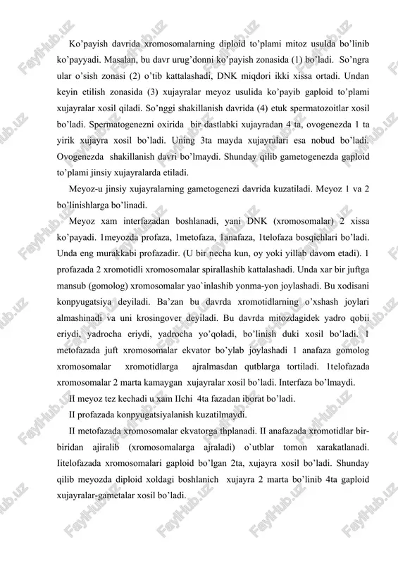 profaza, 1metofaza, 1anafaza, 1telofaza bosqichlari bo’ladi. unda eng murakkabi profazadir. (u bir necha kun, oy yoki yillab davom etadi). 1 profazada 2 xromotidli xromosomalar spirallashib kattalashadi. unda xar bir juftga mansub (gomolog) xromosomalar yao`inlashib yonma-yon joylashadi. bu xodisani konpyugatsiya deyiladi. ba’zan bu davrda xromotidlarning o’xshash joylari almashinadi va uni krosingover deyiladi. bu davrda mitozdagidek yadro qobii eriydi, yadrocha eriydi, yadrocha yo’qoladi, bo’linish duki xosil bo’ladi. 1 metofazada juft xromosomalar ekvator bo’ylab joylashadi 1 anafaza gomolog xromosomalar xromotidlarga ajralmasdan qutblarga tortiladi. 1telofazada xromosomalar 2 marta kamaygan xujayralar xosil bo’ladi. interfaza bo’lmaydi. ii meyoz tez kechadi u xam iichi 4ta fazadan iborat bo’ladi. ii profazada konpyugatsiyalanish kuzatilmaydi. ii metofazada xromosomalar ekvatorga thplanadi. ii anafazada xromotidlar bir-biridan ajiralib (xromosomalarga ajraladi) o`utblar tomon xarakatlanadi. iitelofazada xromosomalari gaploid bo’lgan 2ta, xujayra xosil bo’ladi. shunday qilib meyozda diploid xoldagi boshlanich xujayra 2 marta bo’linib 4ta gaploid xujayralar-gametalar xosil bo’ladi. otalangan xujayrada xromosomalarni soni tiklanadi. krossingover natijasida …